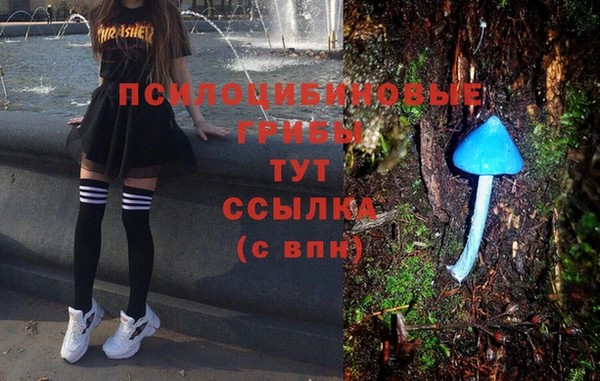 мяу мяу мука Арсеньев