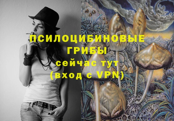 мяу мяу мука Арсеньев