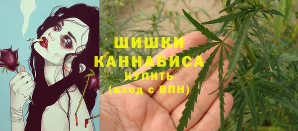 мяу мяу мука Арсеньев