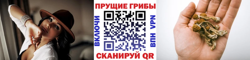 купить наркотики сайты Советская Гавань Псилоцибиновые грибы мухоморы